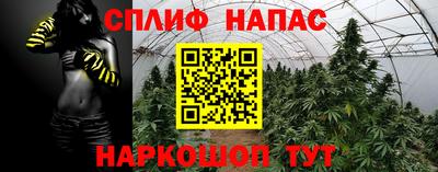 spice Будённовск